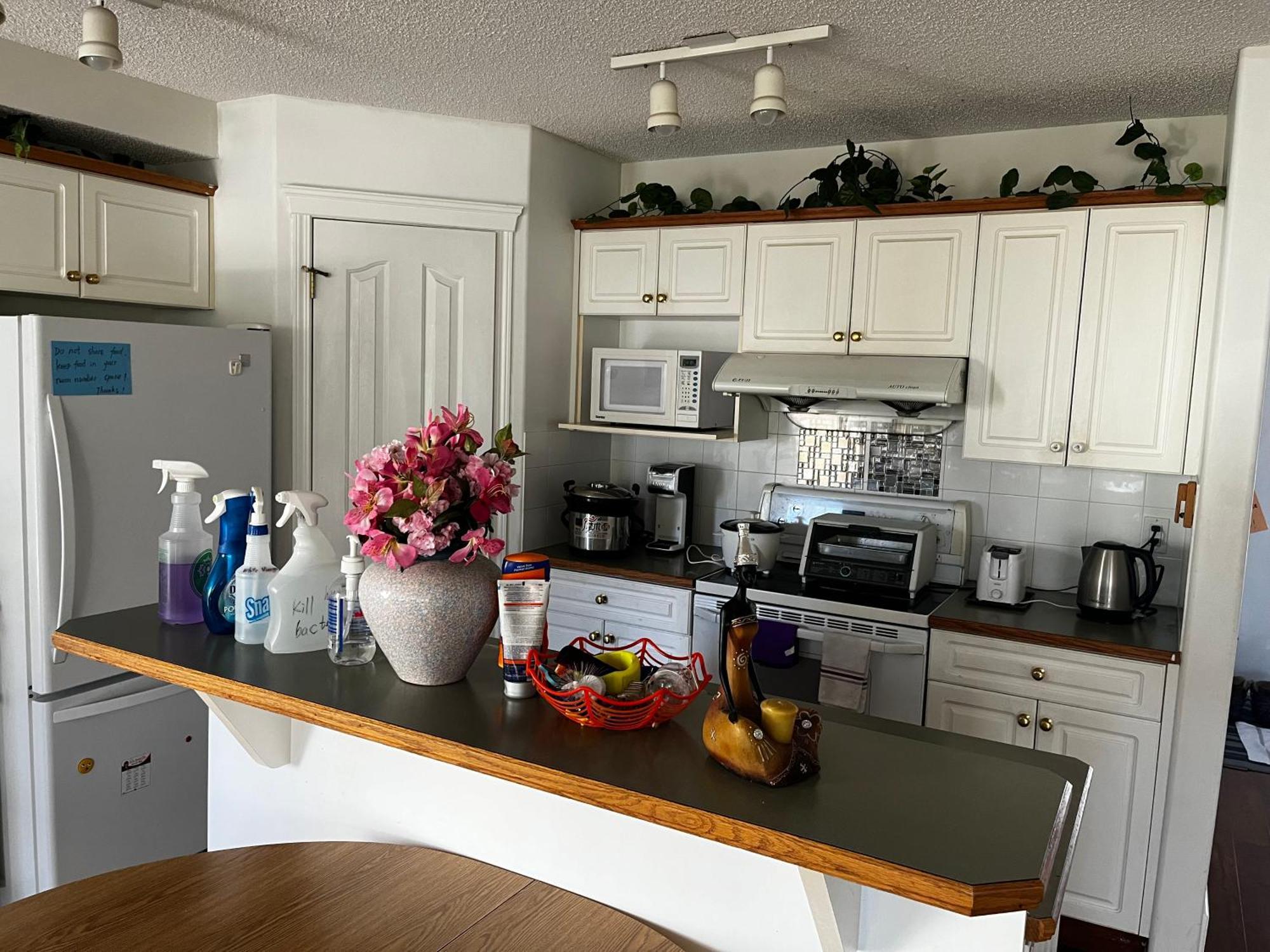 Hidden Valley New Basement Suite With Private Bathroom! YYC Kültér fotó